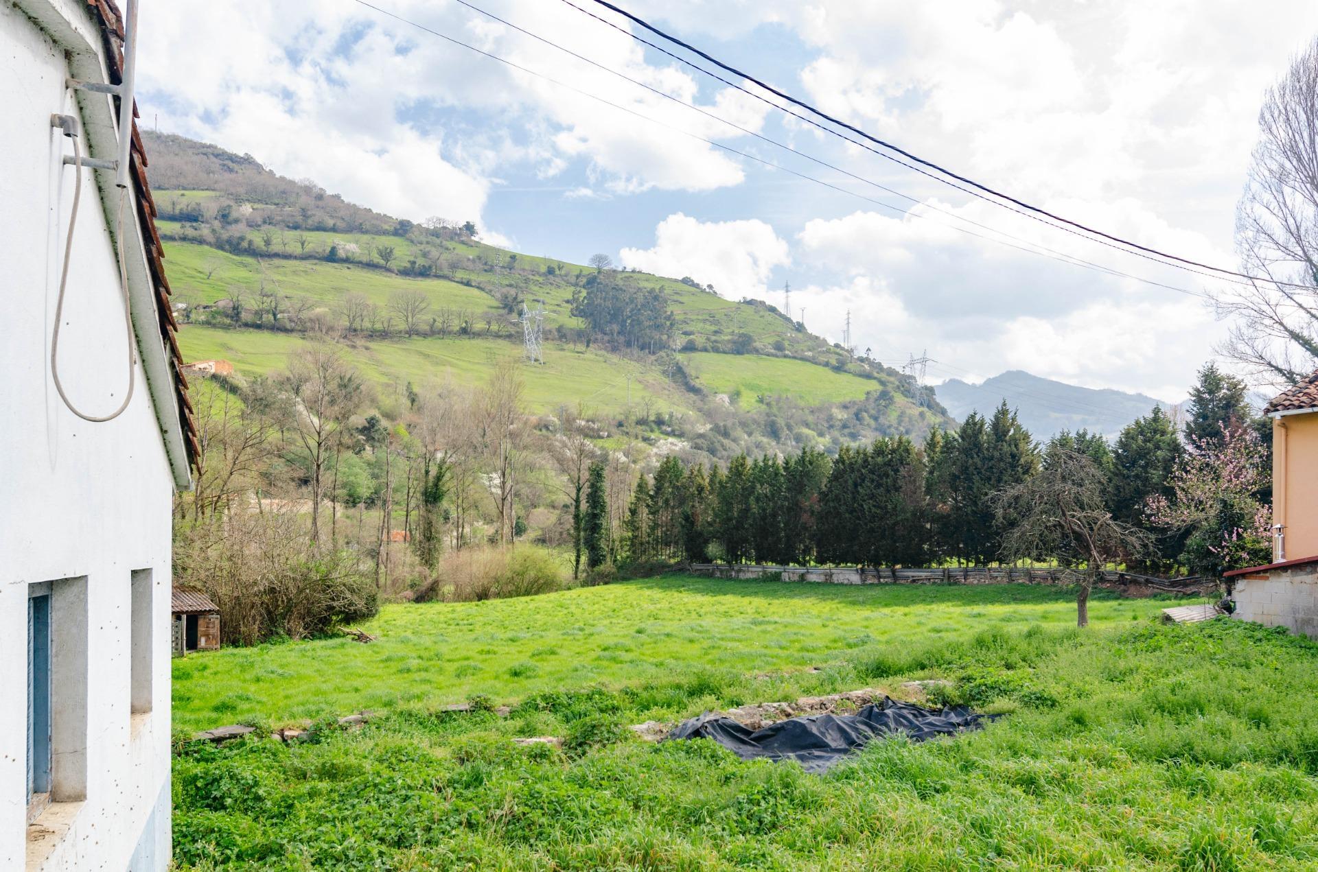 Fincas y solares-Venta-Villena-1389322-Foto-30