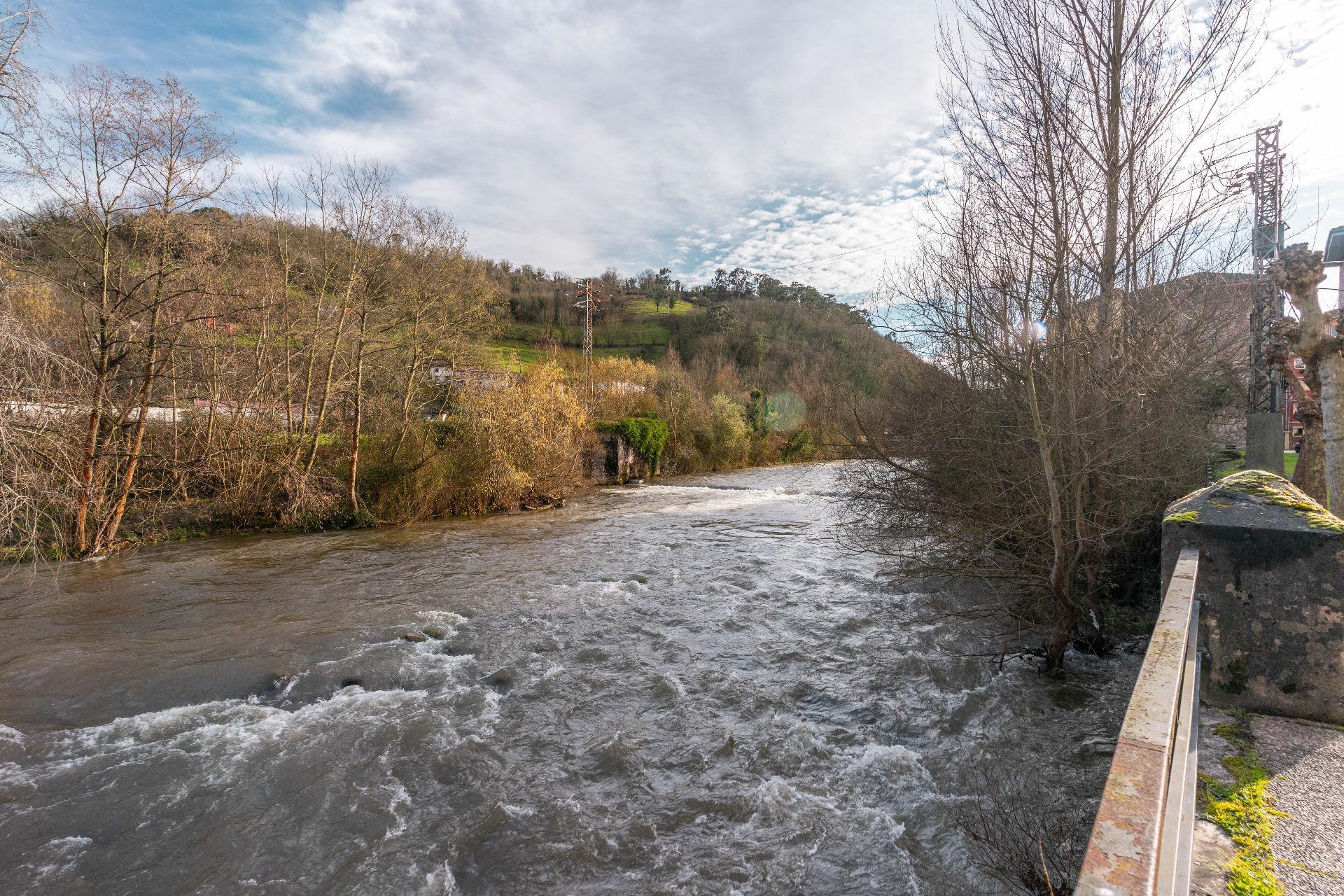 Pisos-Venta-Oviedo-2107152-Foto-30