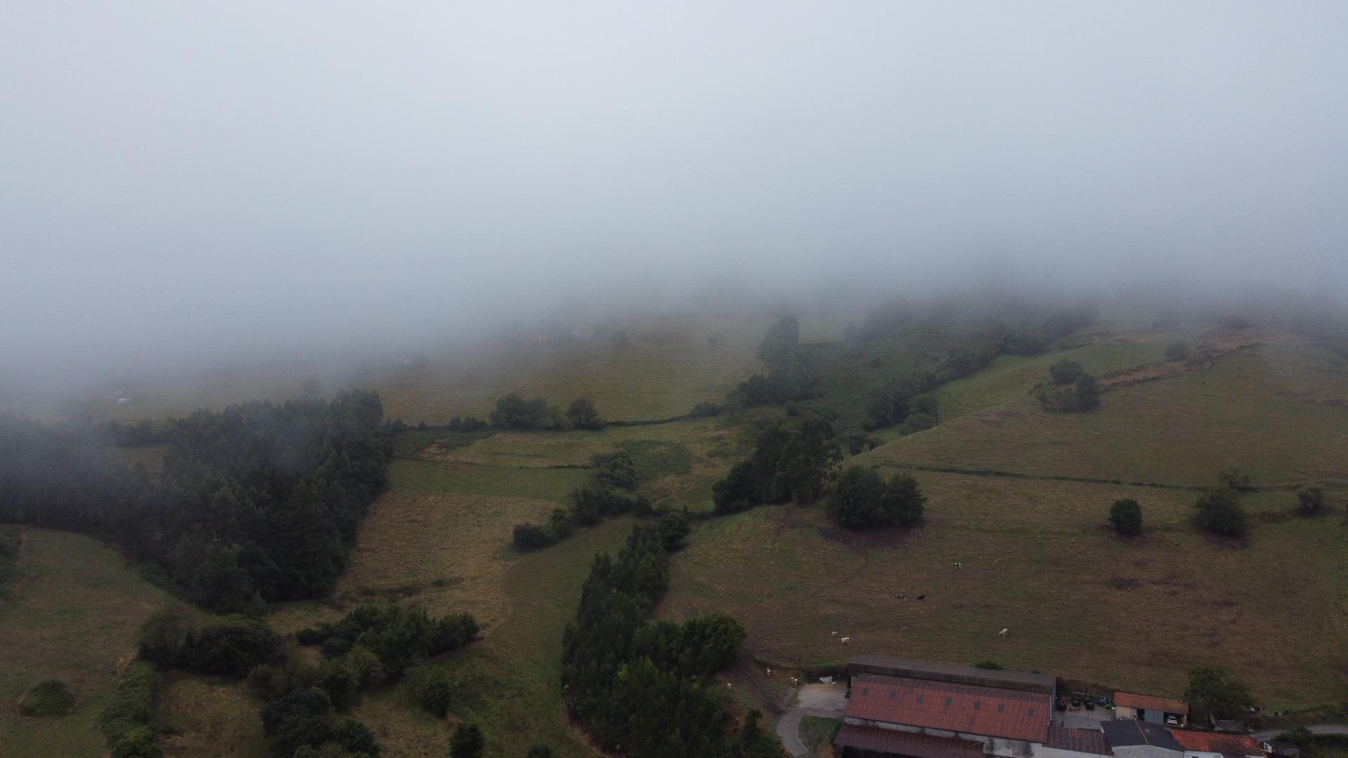 Casas o chalets-Venta-Villaviciosa-1865621-Foto-53