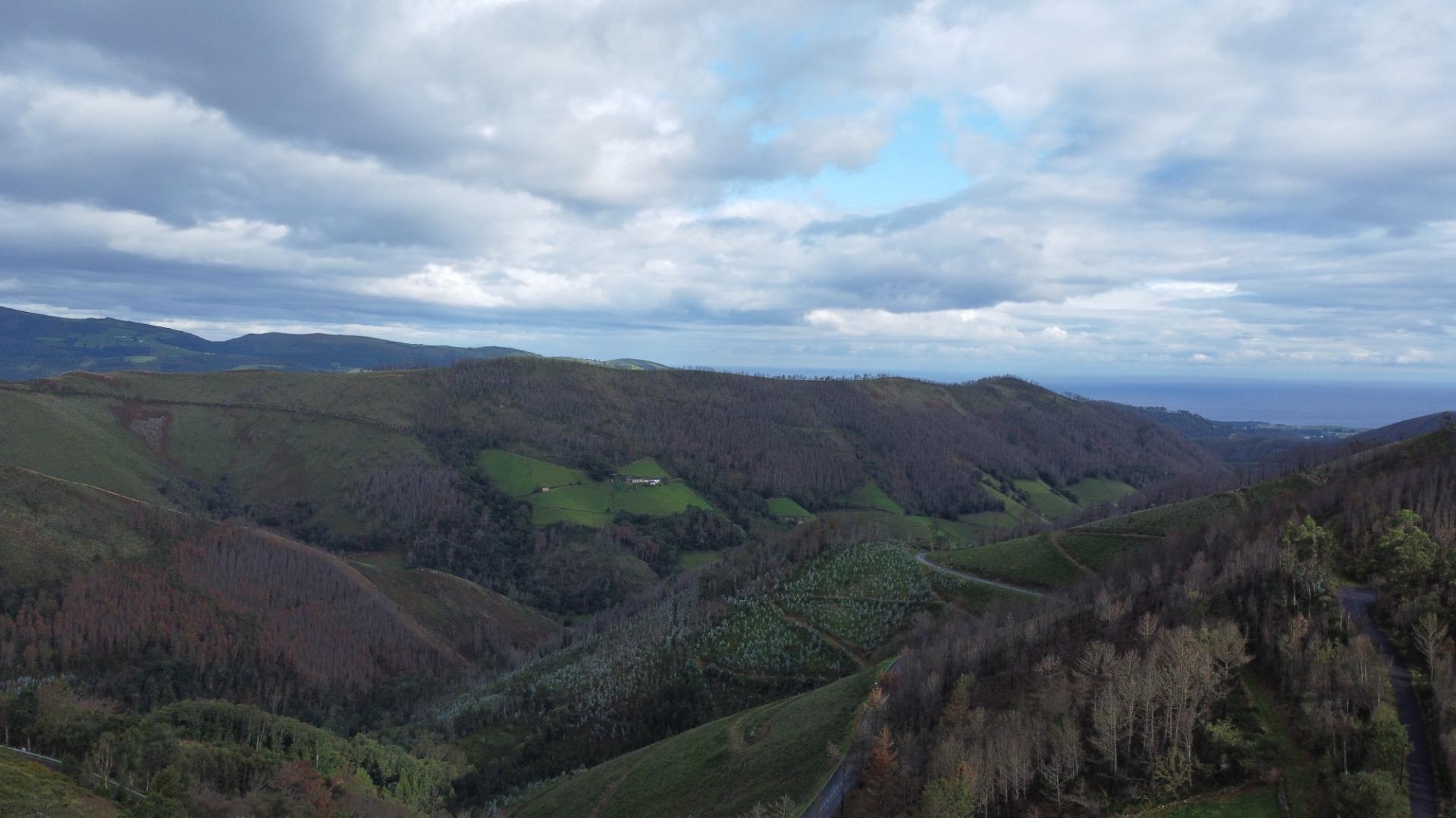 Casas o chalets-Venta-ValdÃ©s-1726446-Foto-14