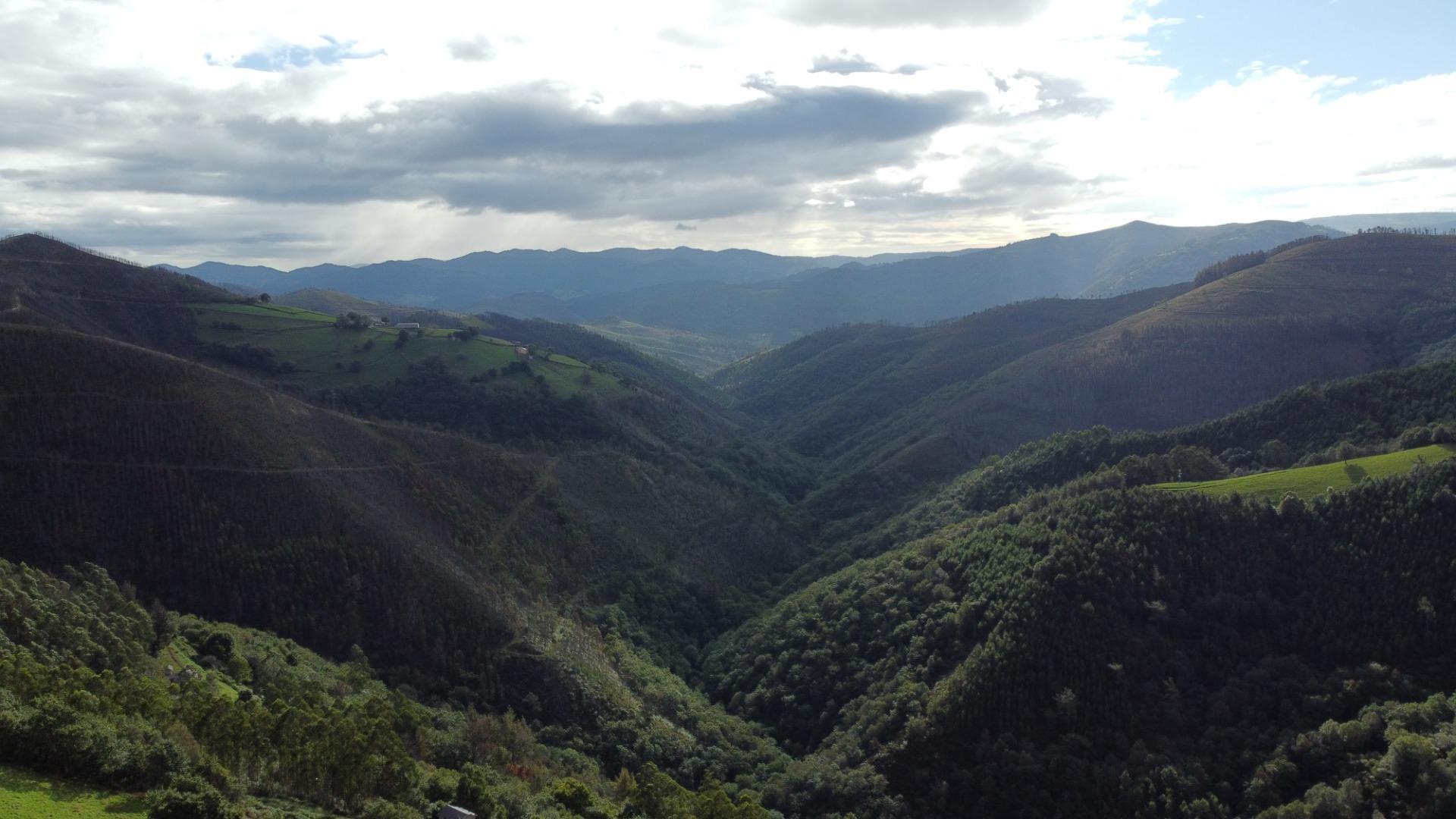 Casas o chalets-Venta-ValdÃ©s-1726446-Foto-15