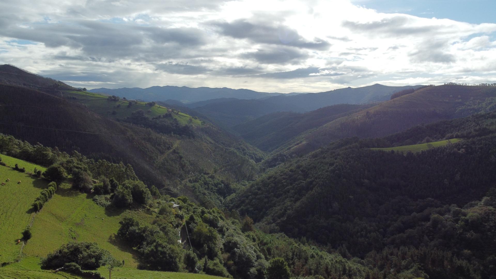 Casas o chalets-Venta-ValdÃ©s-1726446-Foto-31