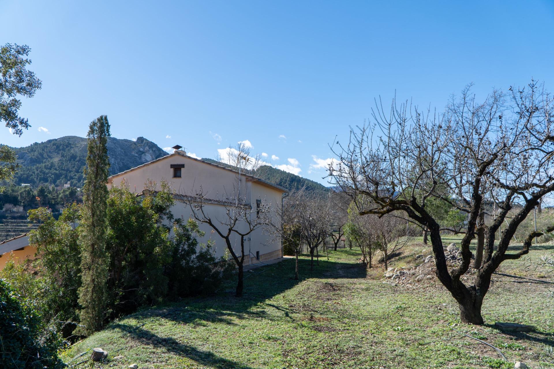 Pisos-Venta-PenÃ guila-2106561-Foto-42