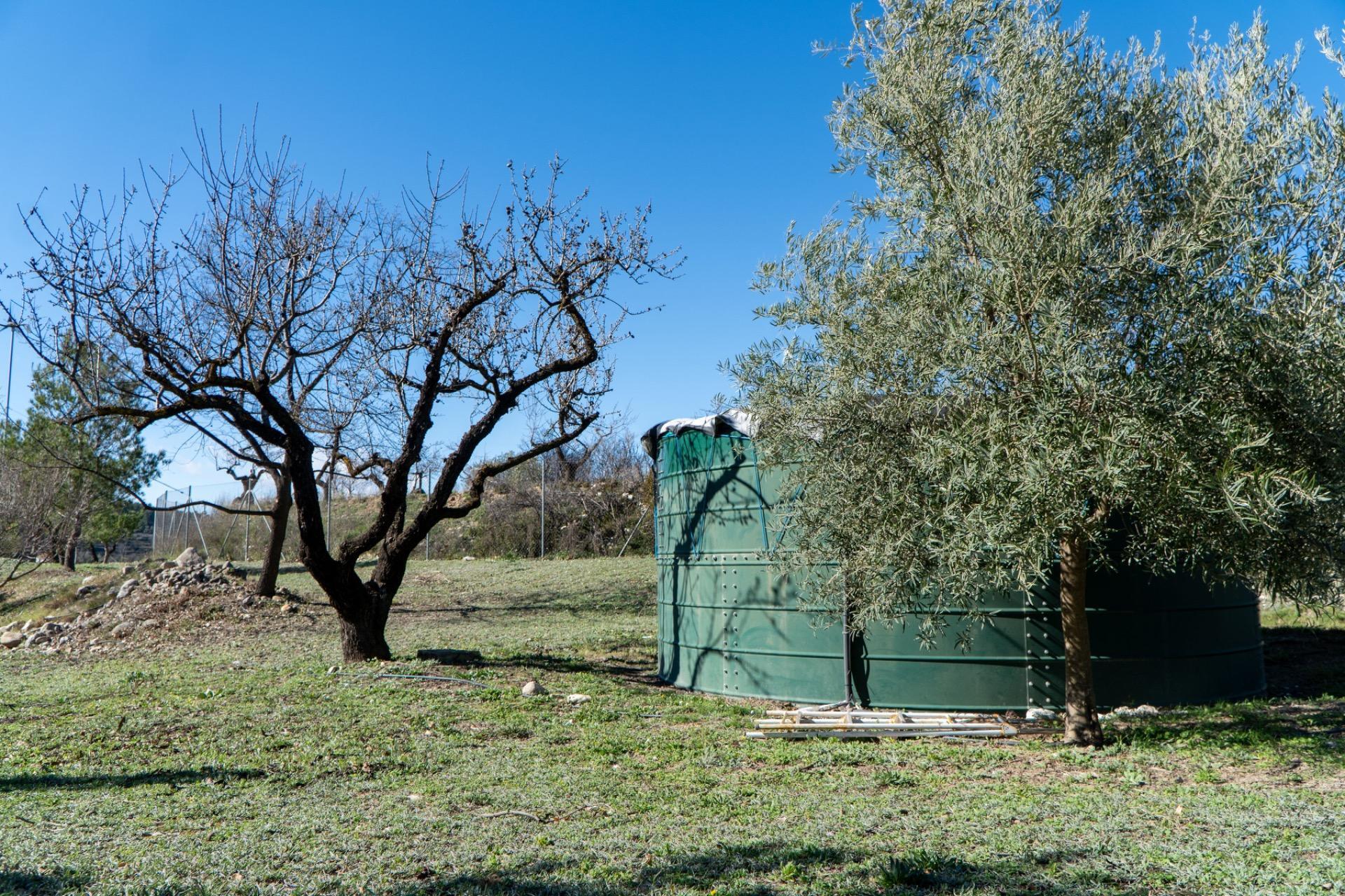 Pisos-Venta-PenÃ guila-2106561-Foto-43