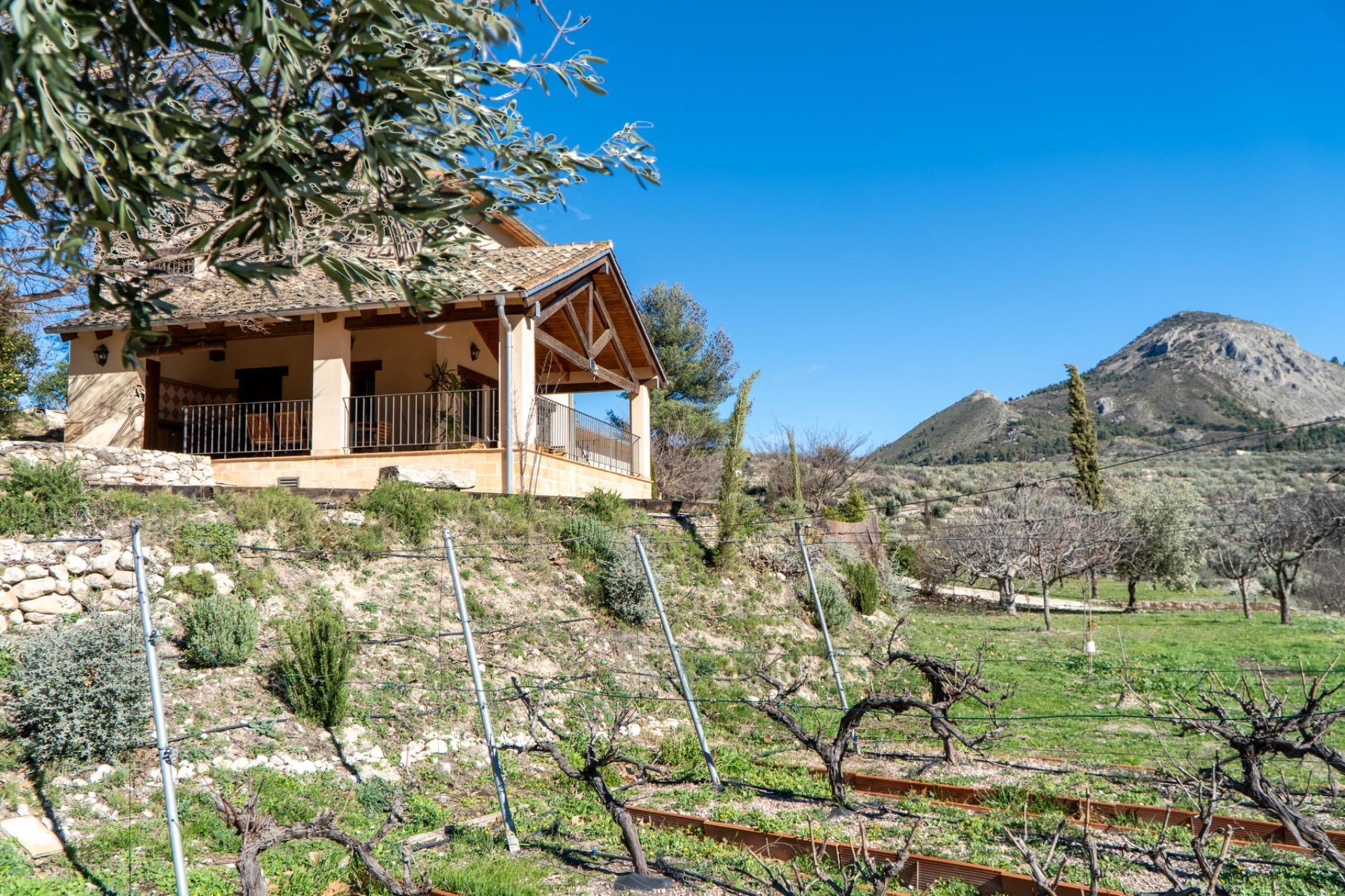 Pisos-Venta-PenÃ guila-2106561-Foto-44