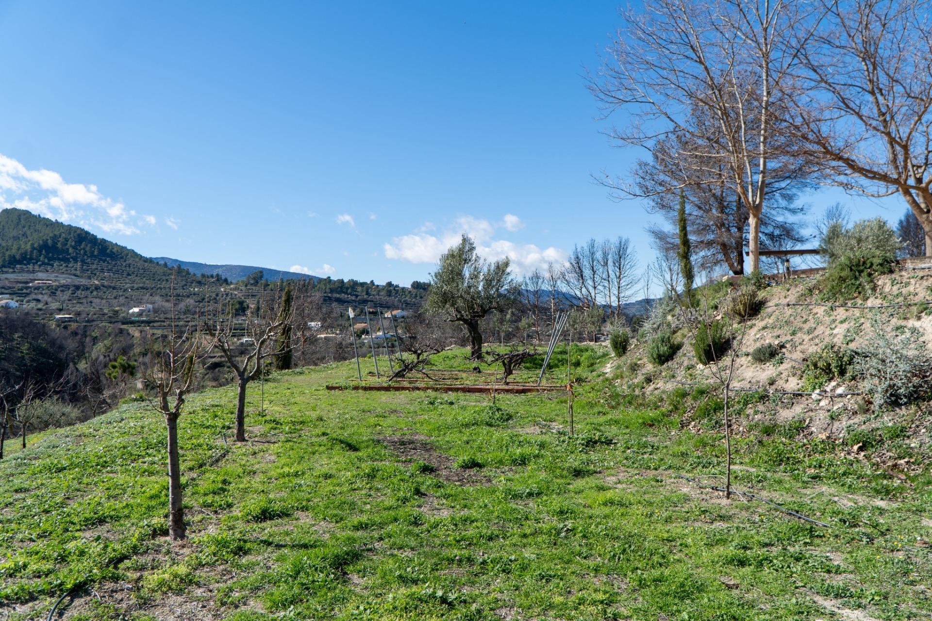 Pisos-Venta-PenÃ guila-2106561-Foto-46