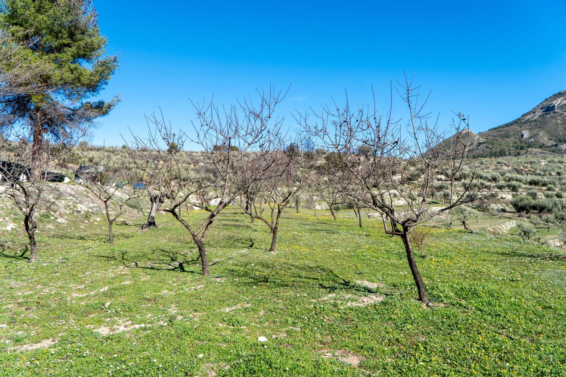 Pisos-Venta-PenÃ guila-2106561-Foto-47