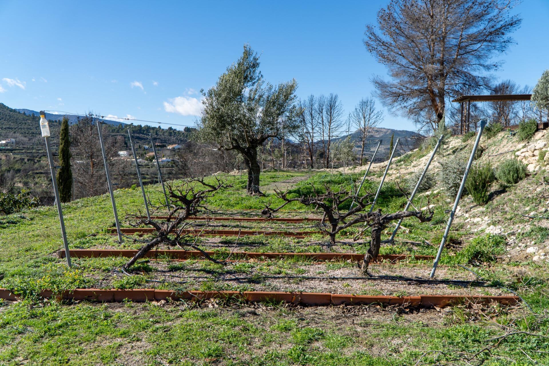 Pisos-Venta-PenÃ guila-2106561-Foto-45