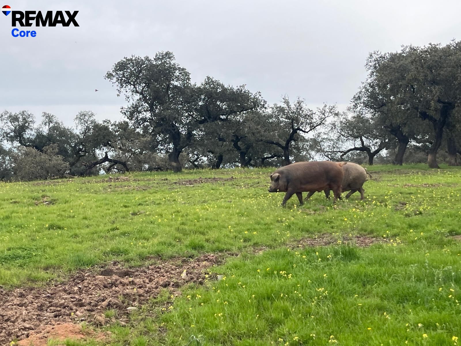 Suelo en venta, Alconchel, Badajoz, Badajoz