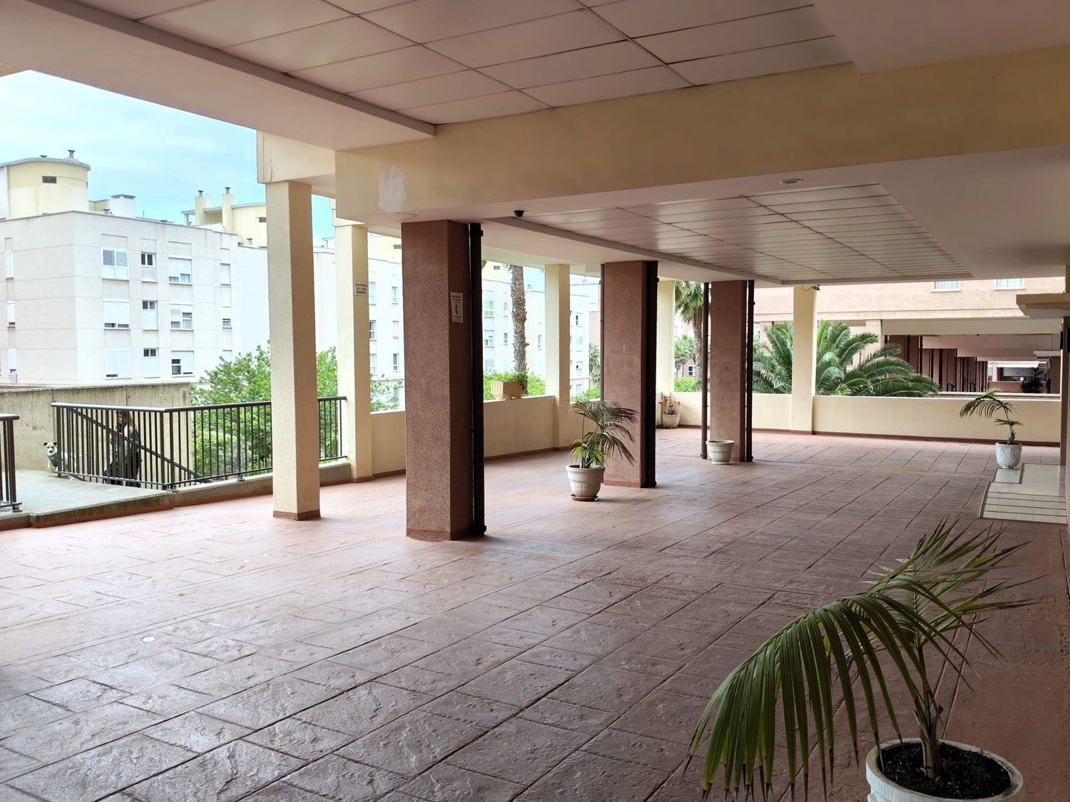 Pisos-Alquiler-Las Palmas de Gran Canaria-2150427-Foto-27