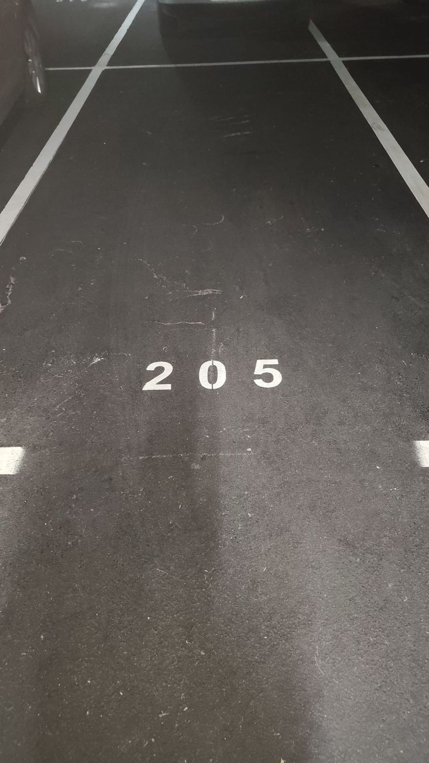 Pisos-Alquiler-GijÃ³n-2150274-Foto-46