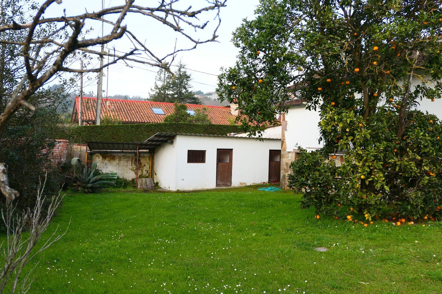 Casas o chalets-Venta-GijÃ³n-2150277-Foto-37