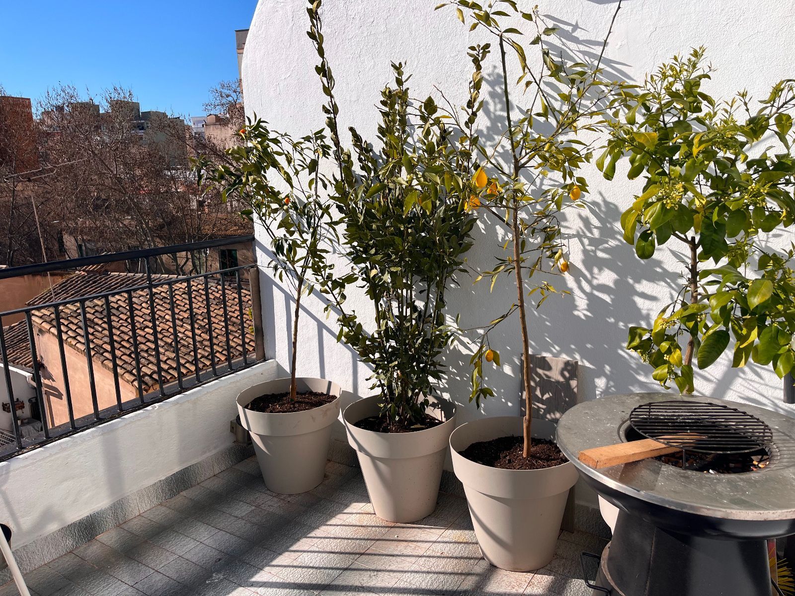 Pisos-Venta-Palma de Mallorca-2114270-Foto-3