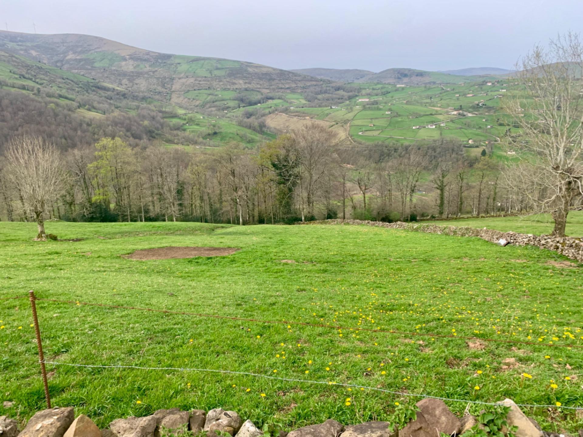 Casas o chalets-Venta-San Pedro del Romeral-1070693-Foto-13