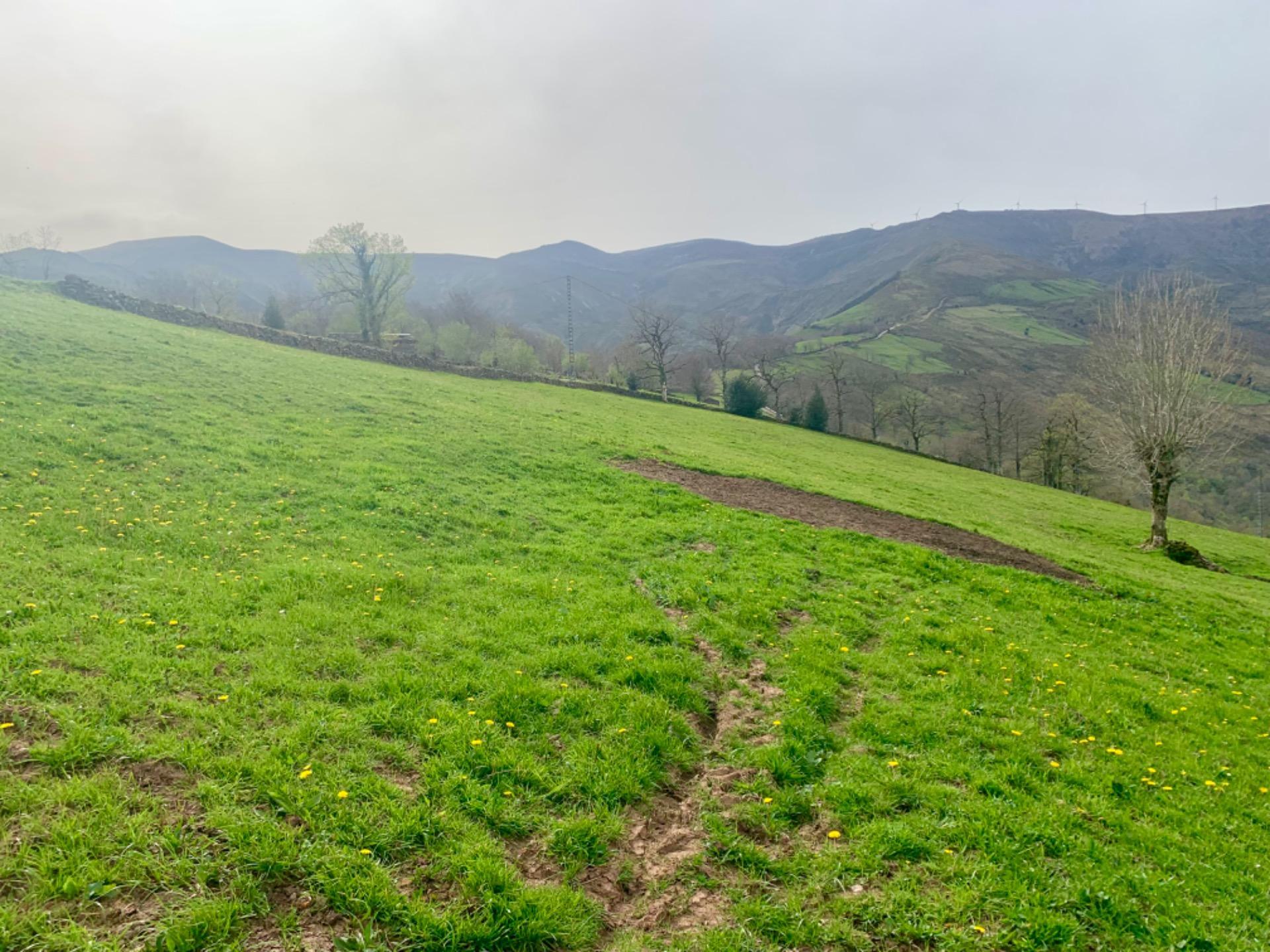 Casas o chalets-Venta-San Pedro del Romeral-1070693-Foto-11