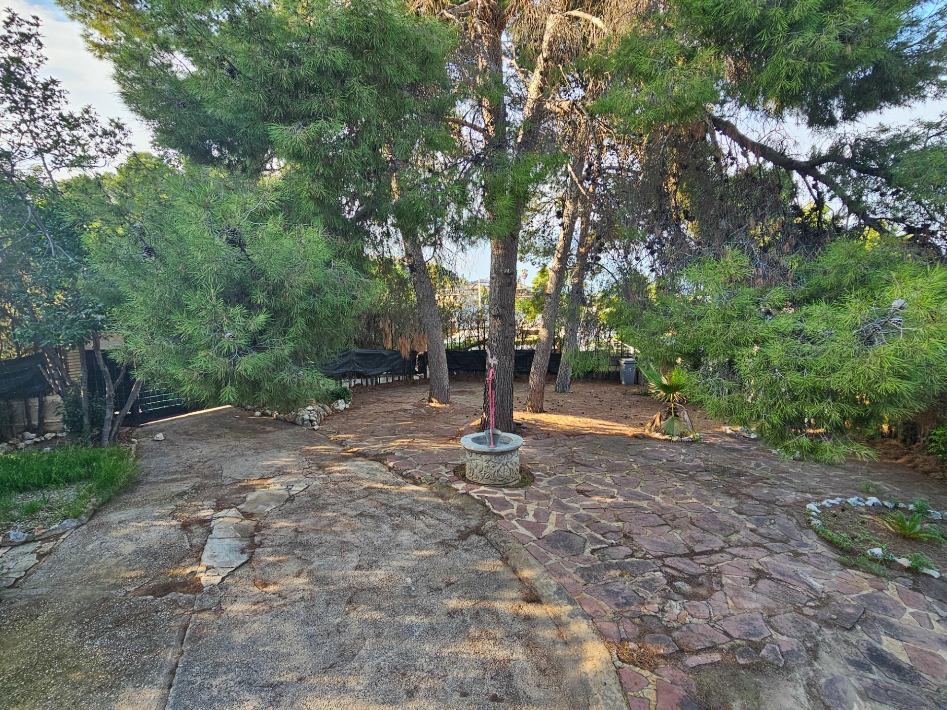 Casas o chalets-Venta-Chiva-1973648-Foto-68