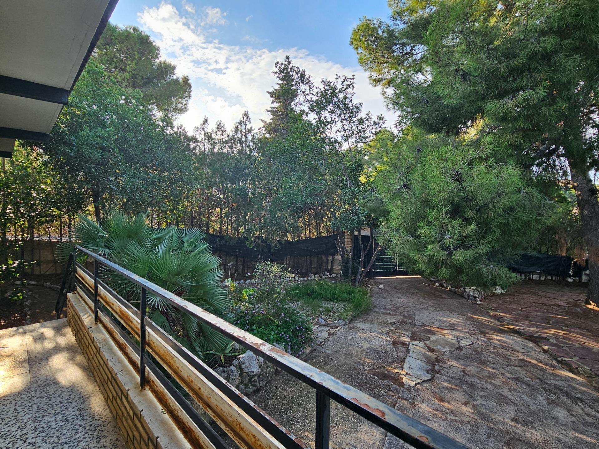 Casas o chalets-Venta-Chiva-1973648-Foto-69