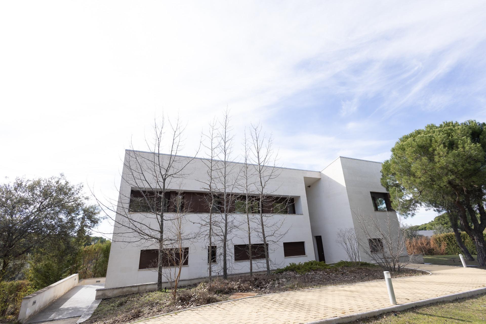 Casas o chalets-Alquiler-Pozuelo de AlarcÃ³n-2113671-Foto-49