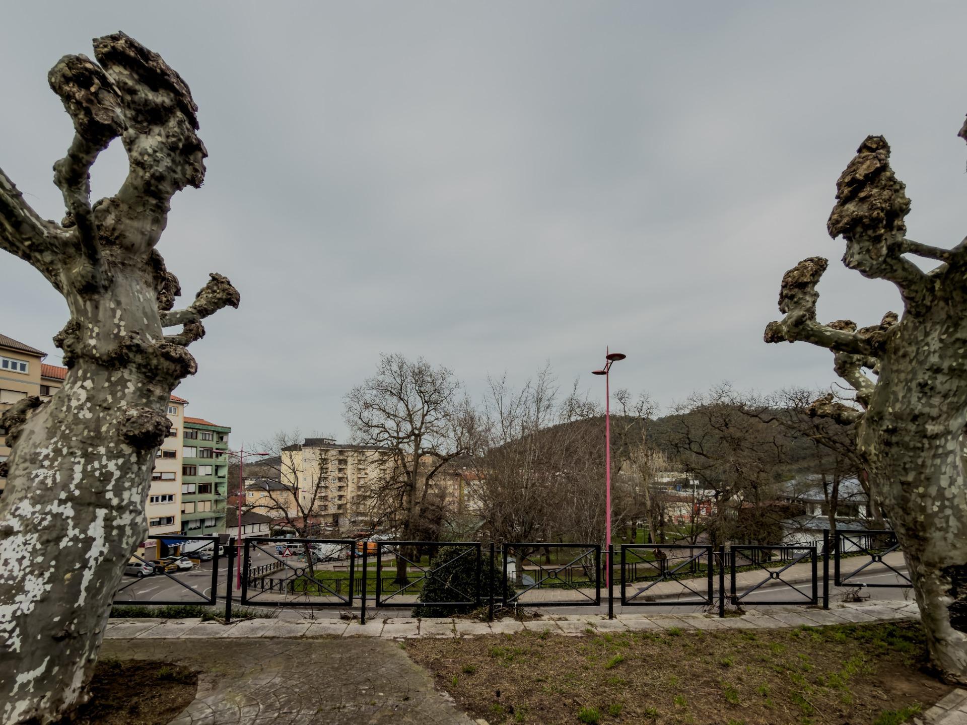 Pisos-Venta-Medio Cudeyo-2150807-Foto-21