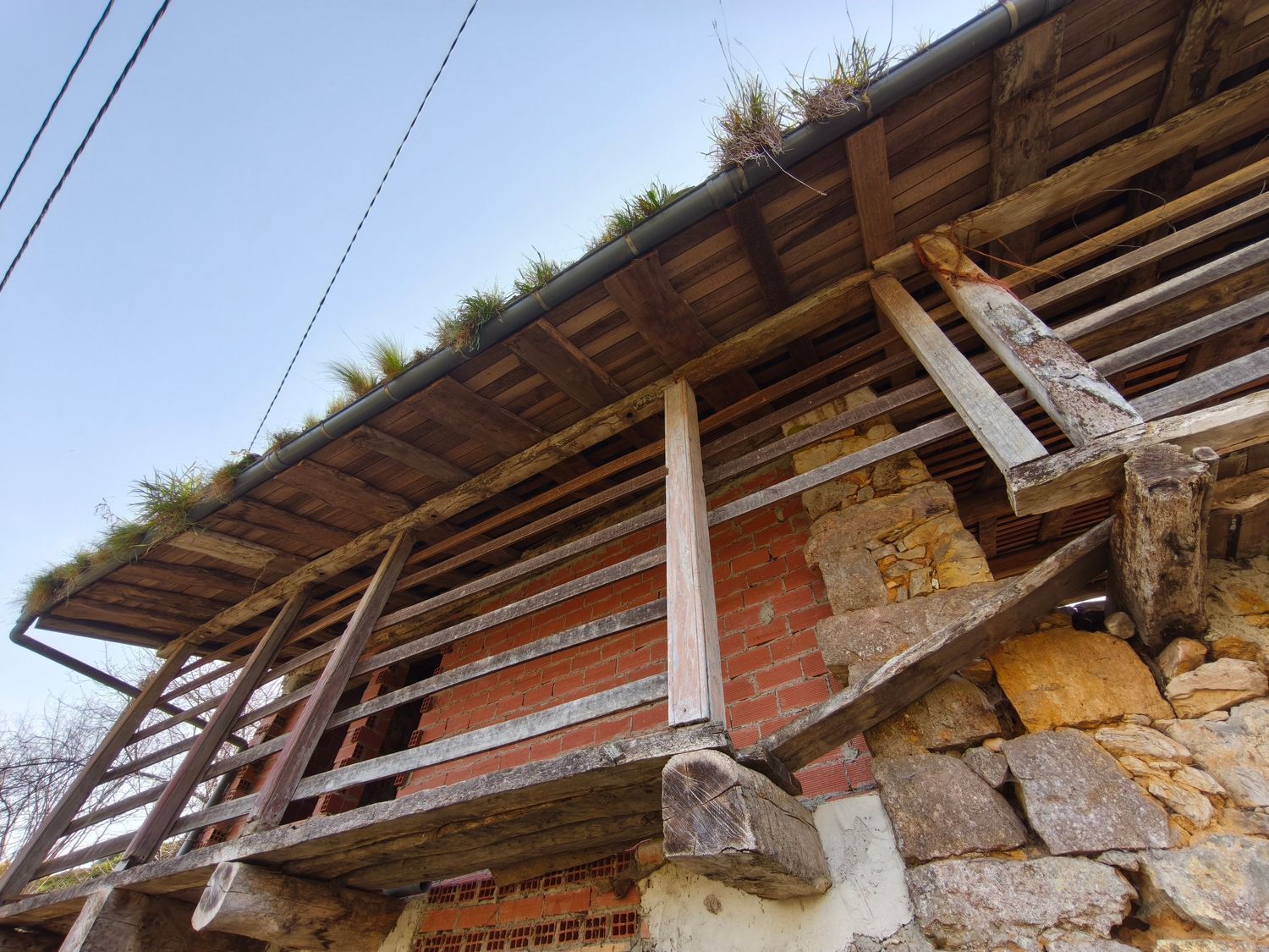 Casas o chalets-Venta-PiloÃ±a-2150825-Foto-8