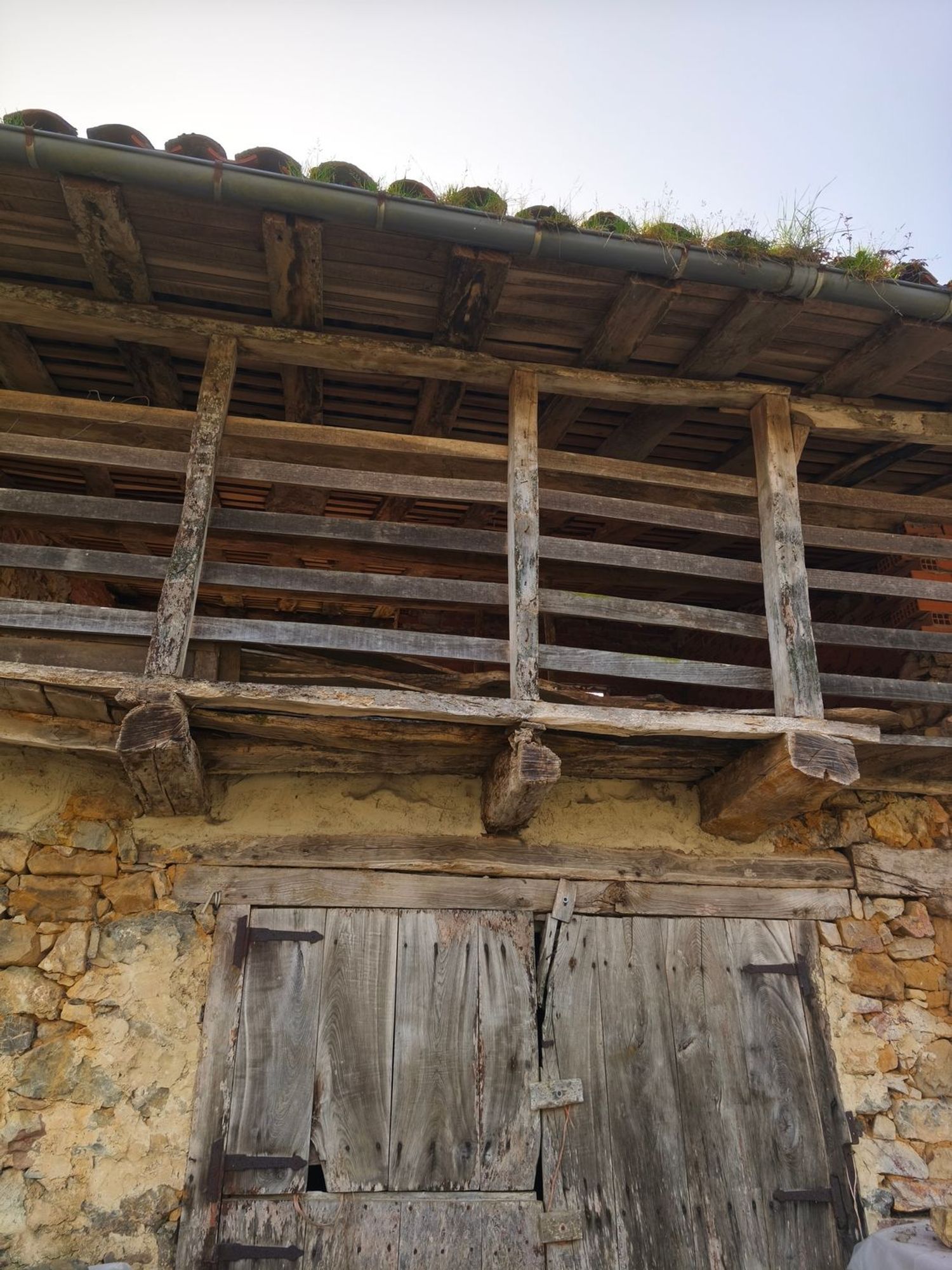 Casas o chalets-Venta-PiloÃ±a-2150825-Foto-12