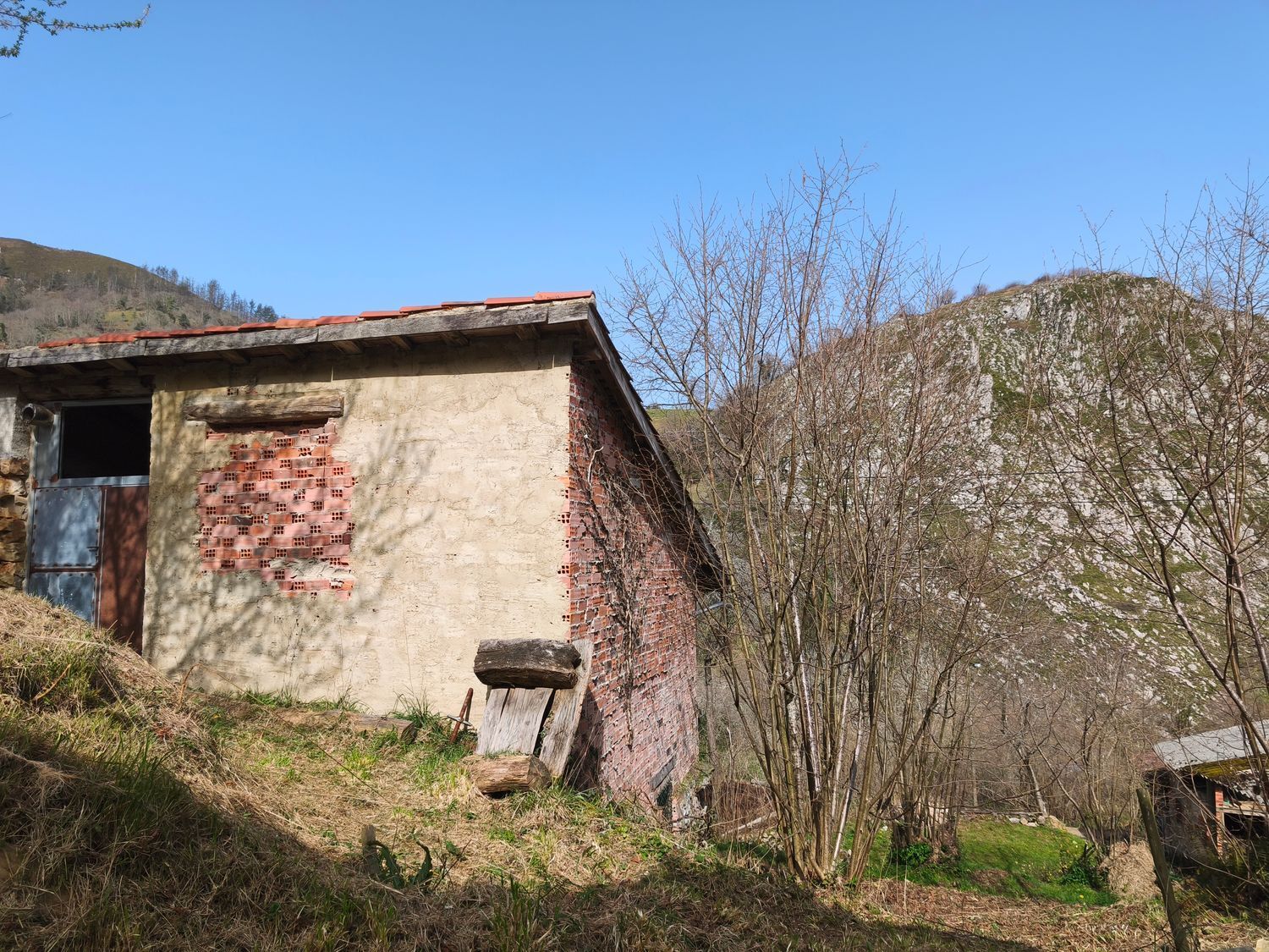 Casas o chalets-Venta-PiloÃ±a-2150825-Foto-14