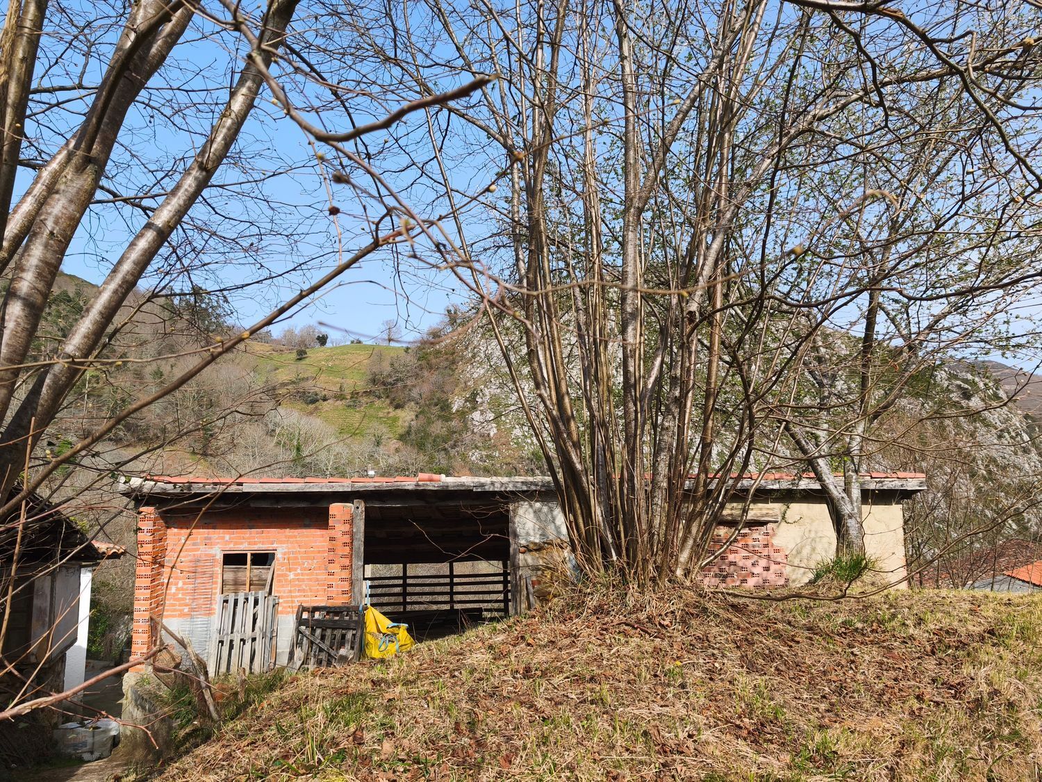 Casas o chalets-Venta-PiloÃ±a-2150825-Foto-16