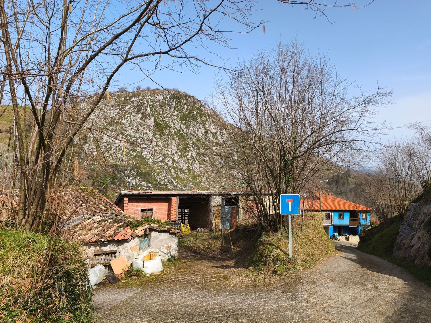 Casas o chalets-Venta-PiloÃ±a-2150825-Foto-19