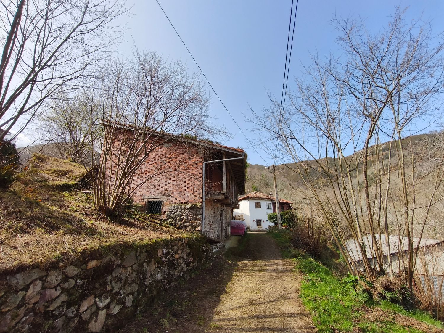 Casas o chalets-Venta-PiloÃ±a-2150825-Foto-15