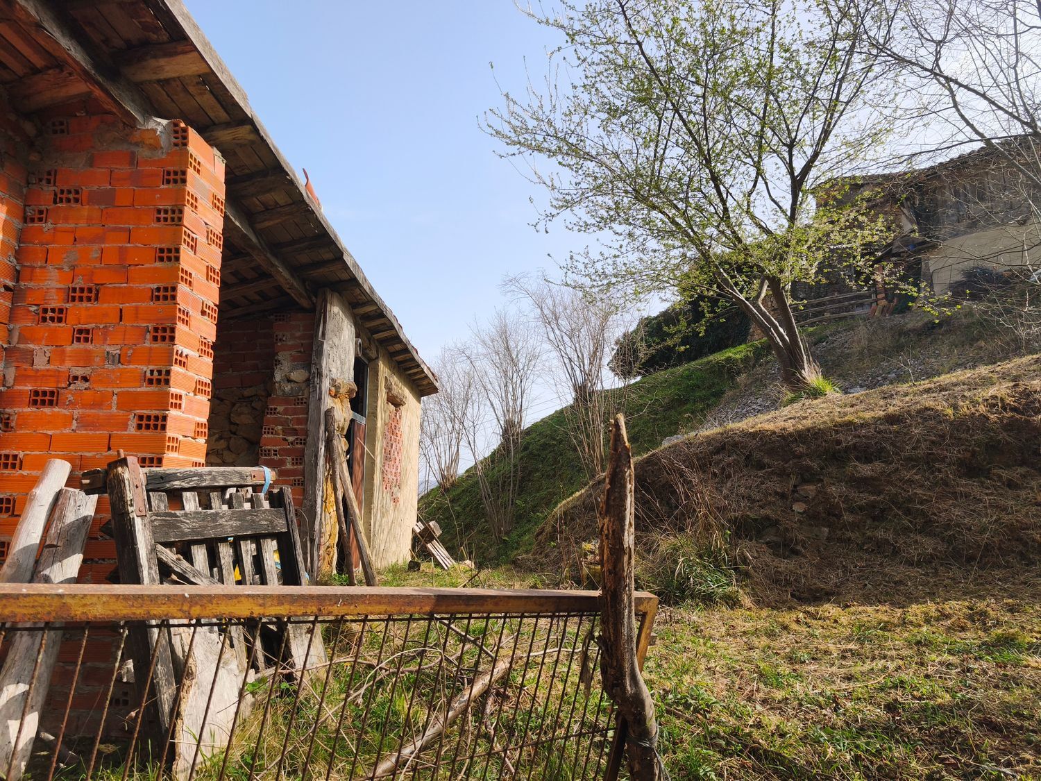 Casas o chalets-Venta-PiloÃ±a-2150825-Foto-18