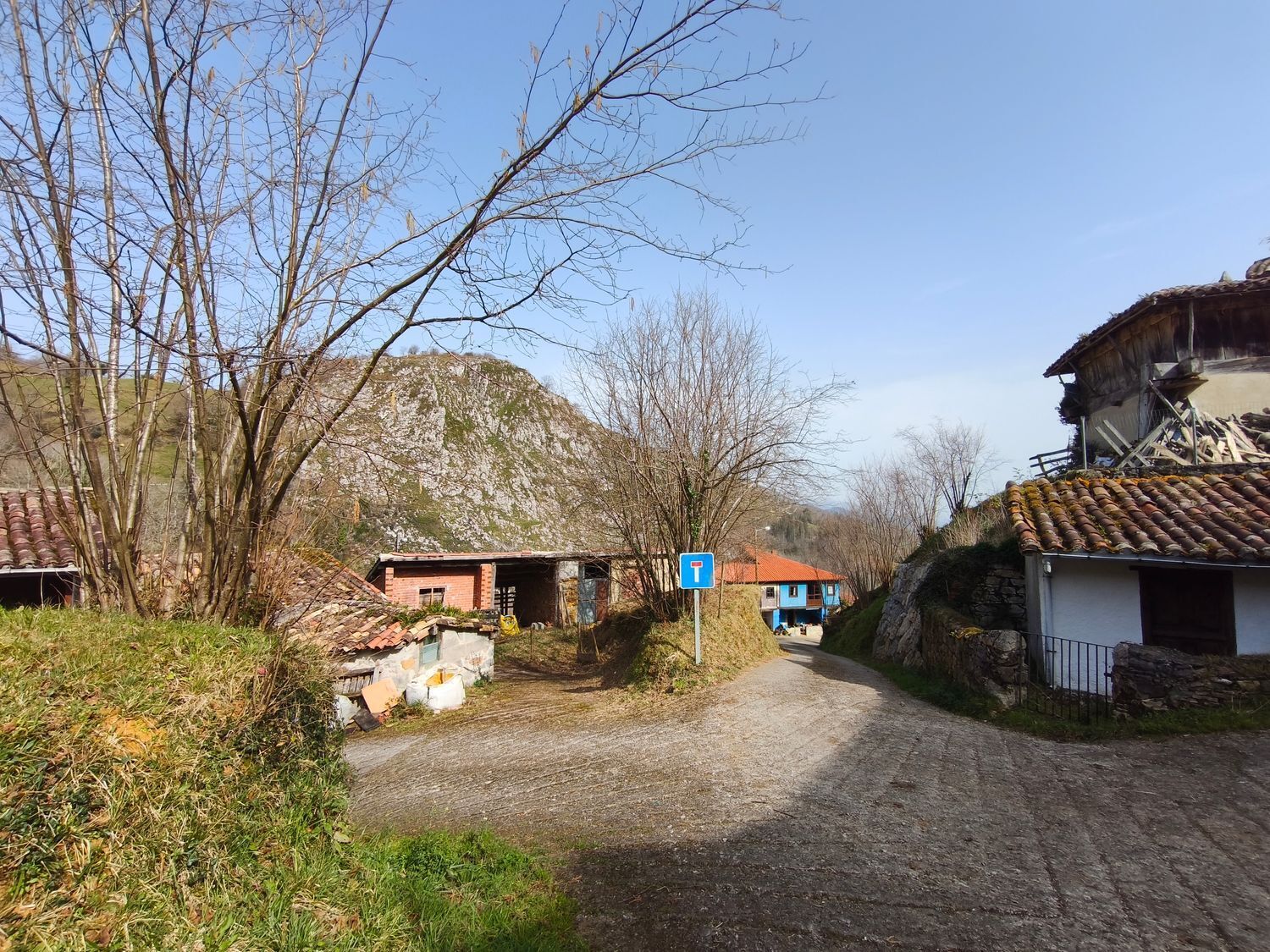 Casas o chalets-Venta-PiloÃ±a-2150825-Foto-20