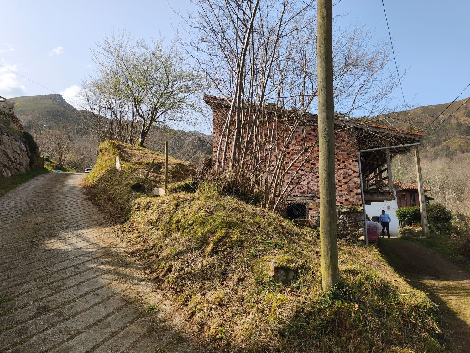 Casas o chalets-Venta-PiloÃ±a-2150825-Foto-21