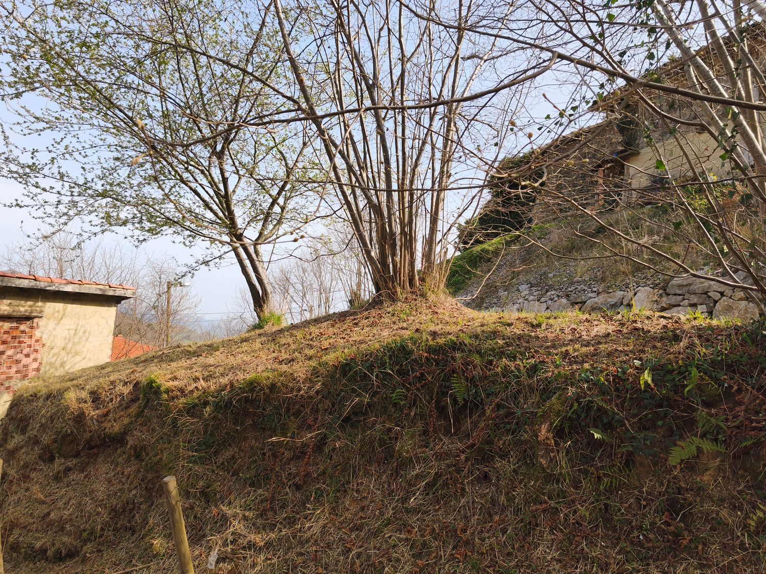 Casas o chalets-Venta-PiloÃ±a-2150825-Foto-23