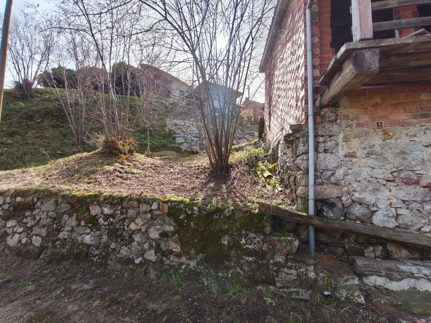 Casas o chalets-Venta-PiloÃ±a-2150825-Foto-24