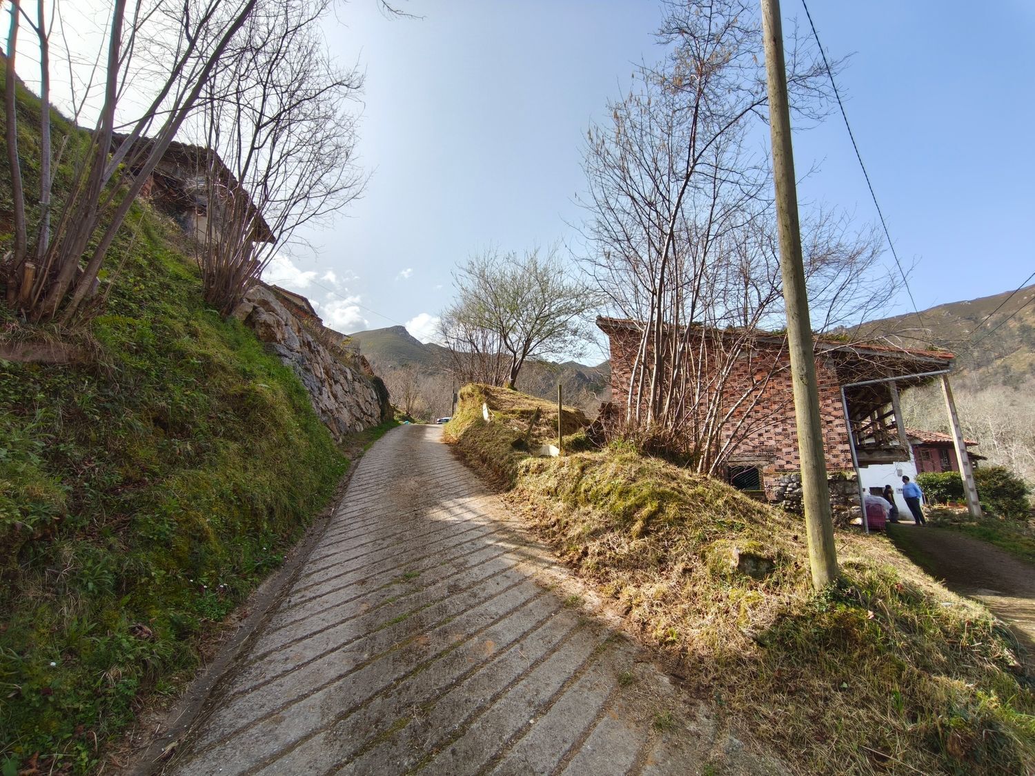 Casas o chalets-Venta-PiloÃ±a-2150825-Foto-22