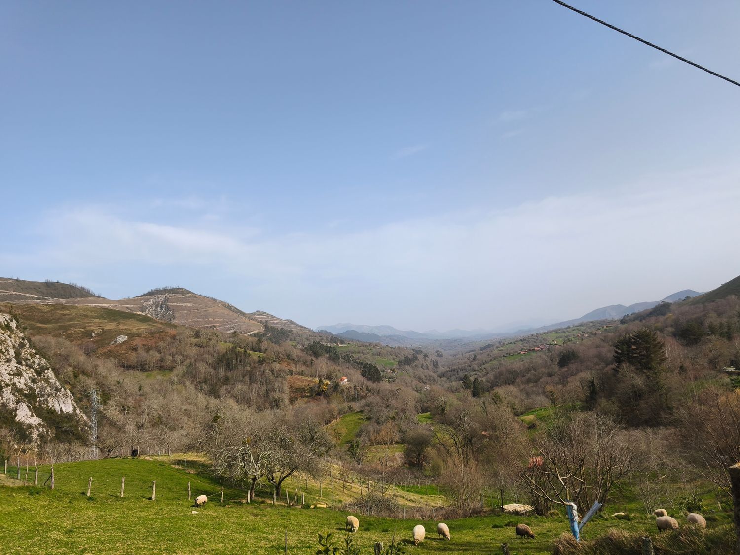 Casas o chalets-Venta-PiloÃ±a-2150825-Foto-29