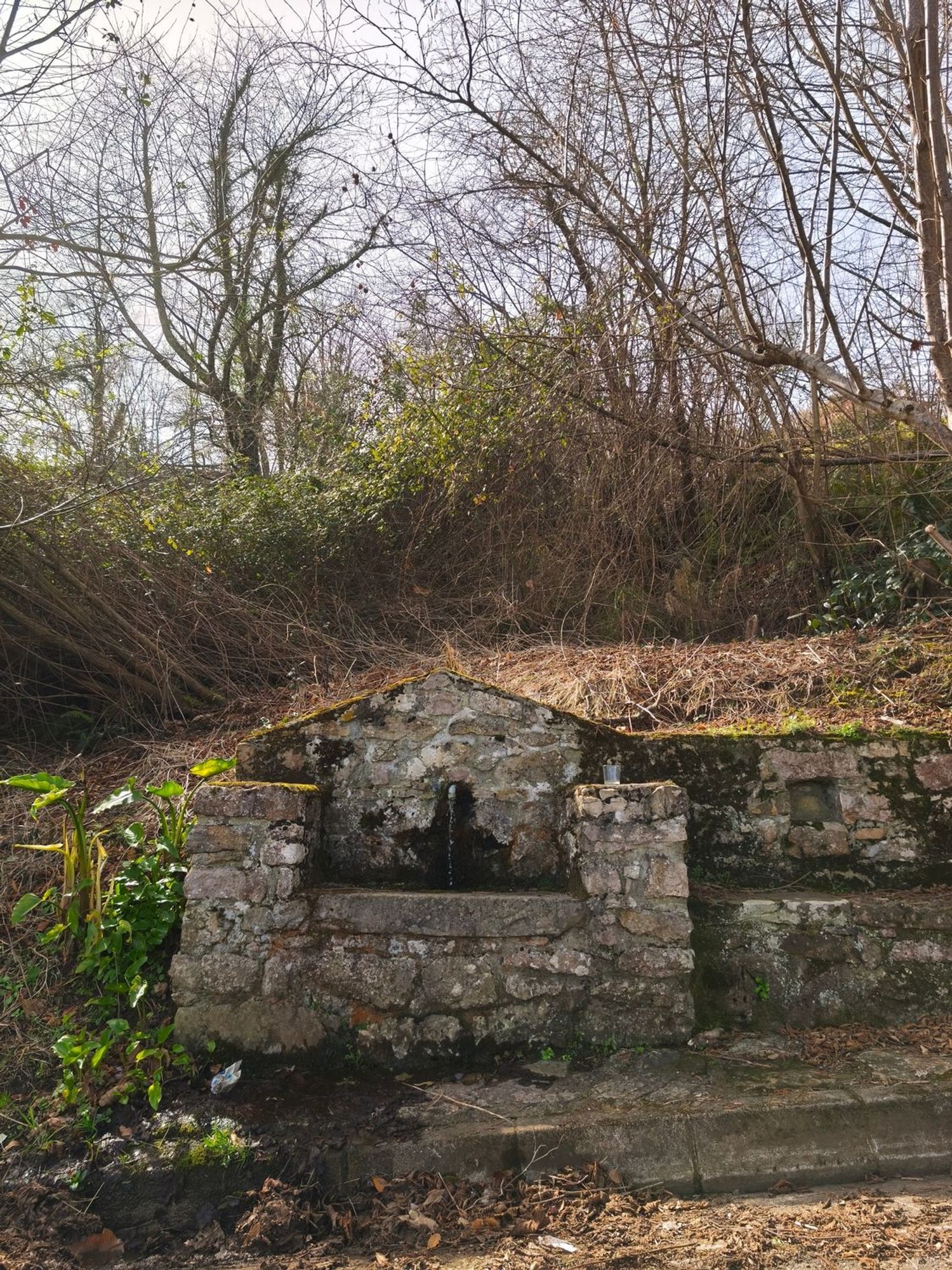 Casas o chalets-Venta-PiloÃ±a-2150825-Foto-28