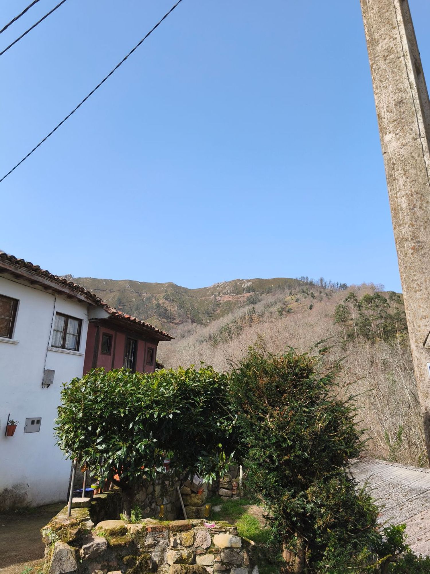 Casas o chalets-Venta-PiloÃ±a-2150825-Foto-31