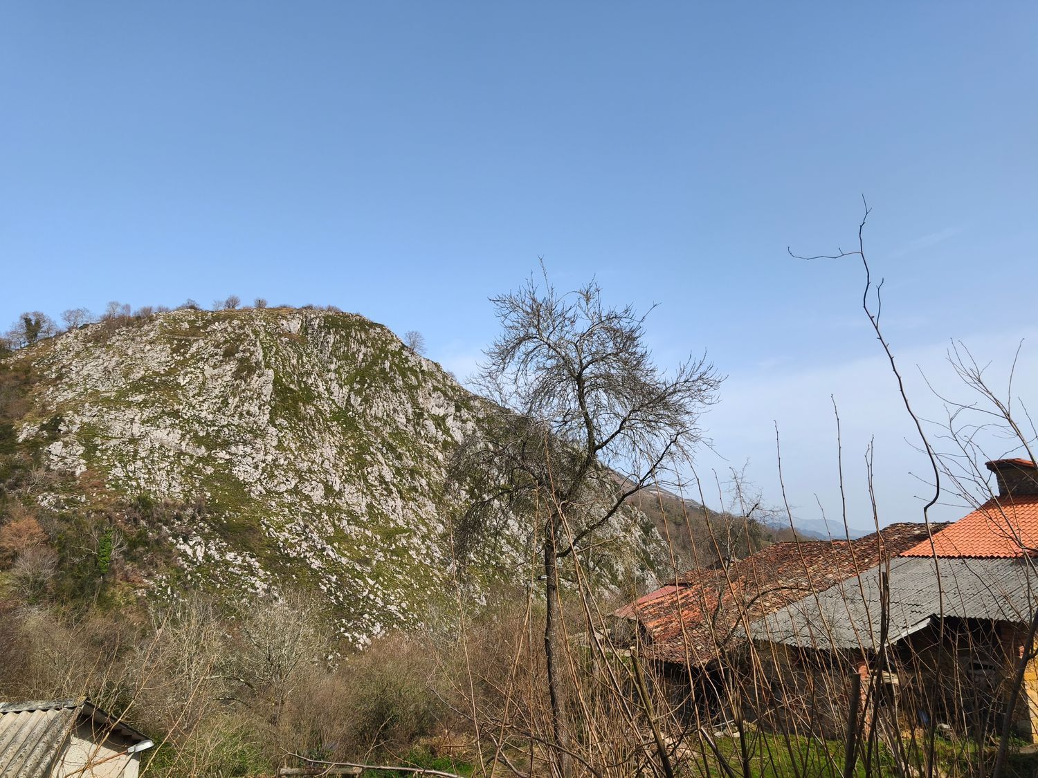 Casas o chalets-Venta-PiloÃ±a-2150825-Foto-32