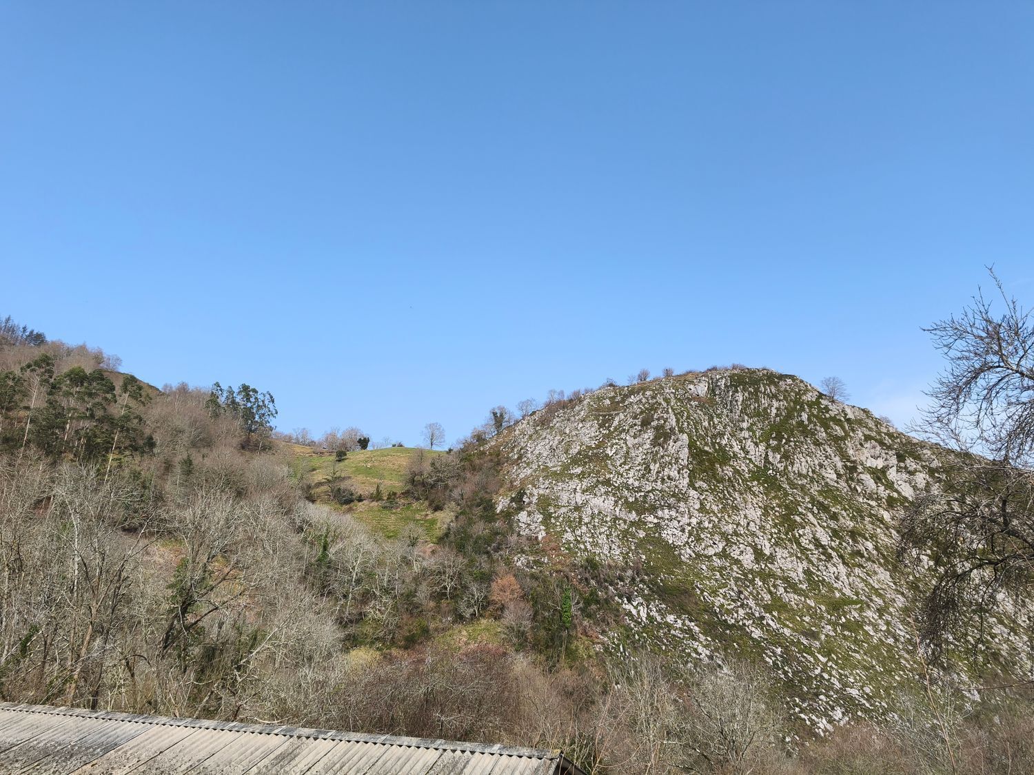 Casas o chalets-Venta-PiloÃ±a-2150825-Foto-33