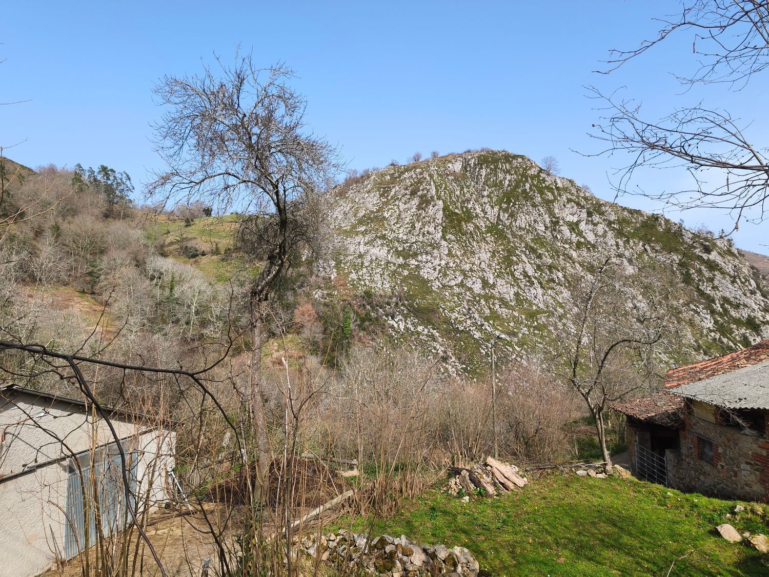 Casas o chalets-Venta-PiloÃ±a-2150825-Foto-30