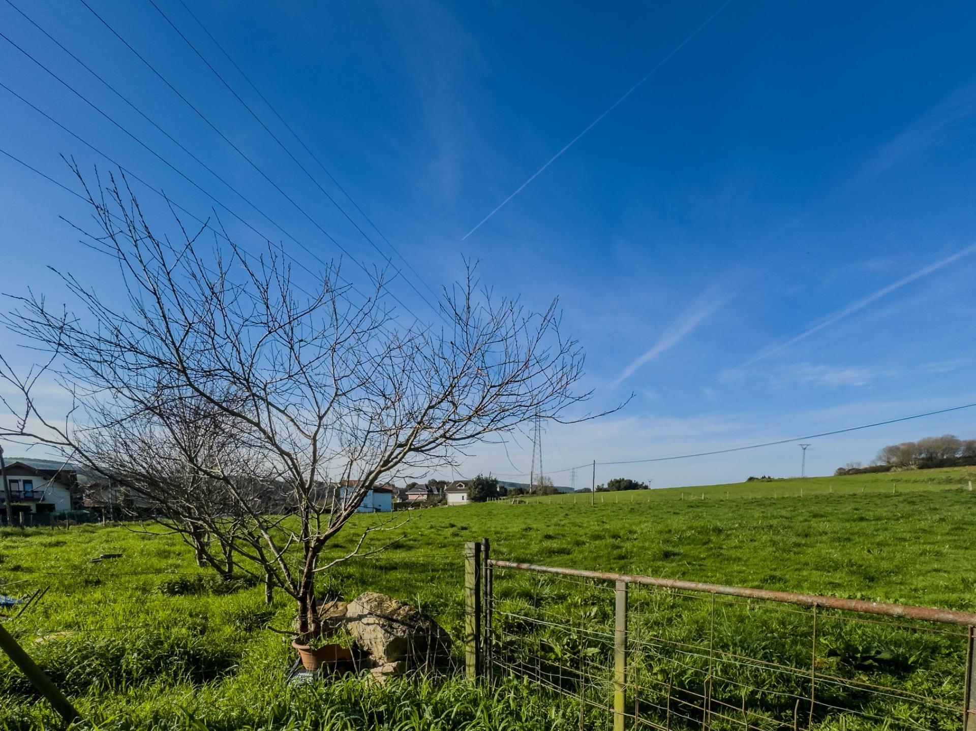 Fincas y solares-Venta-PiÃ©lagos-1652937-Foto-4