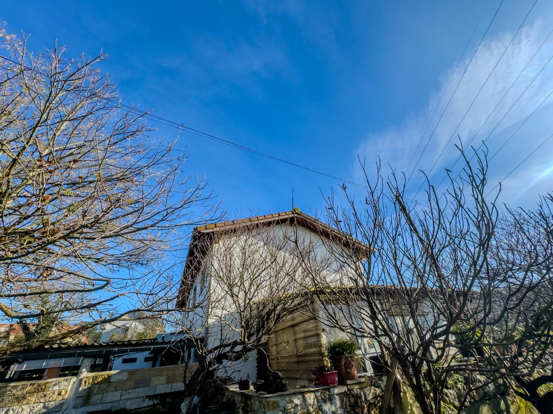 Fincas y solares-Venta-PiÃ©lagos-1652937-Foto-14