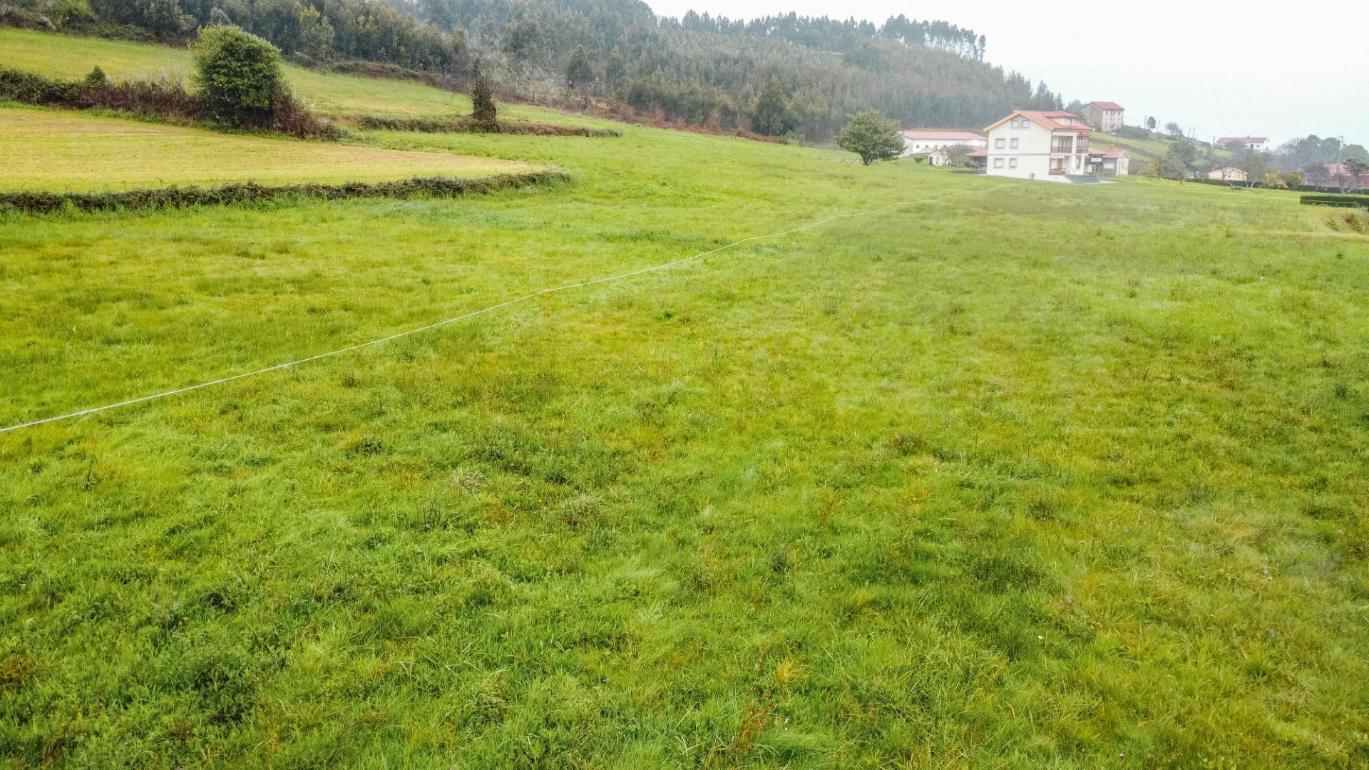 Fincas y solares-Venta-GozÃ³n-2150831-Foto-21