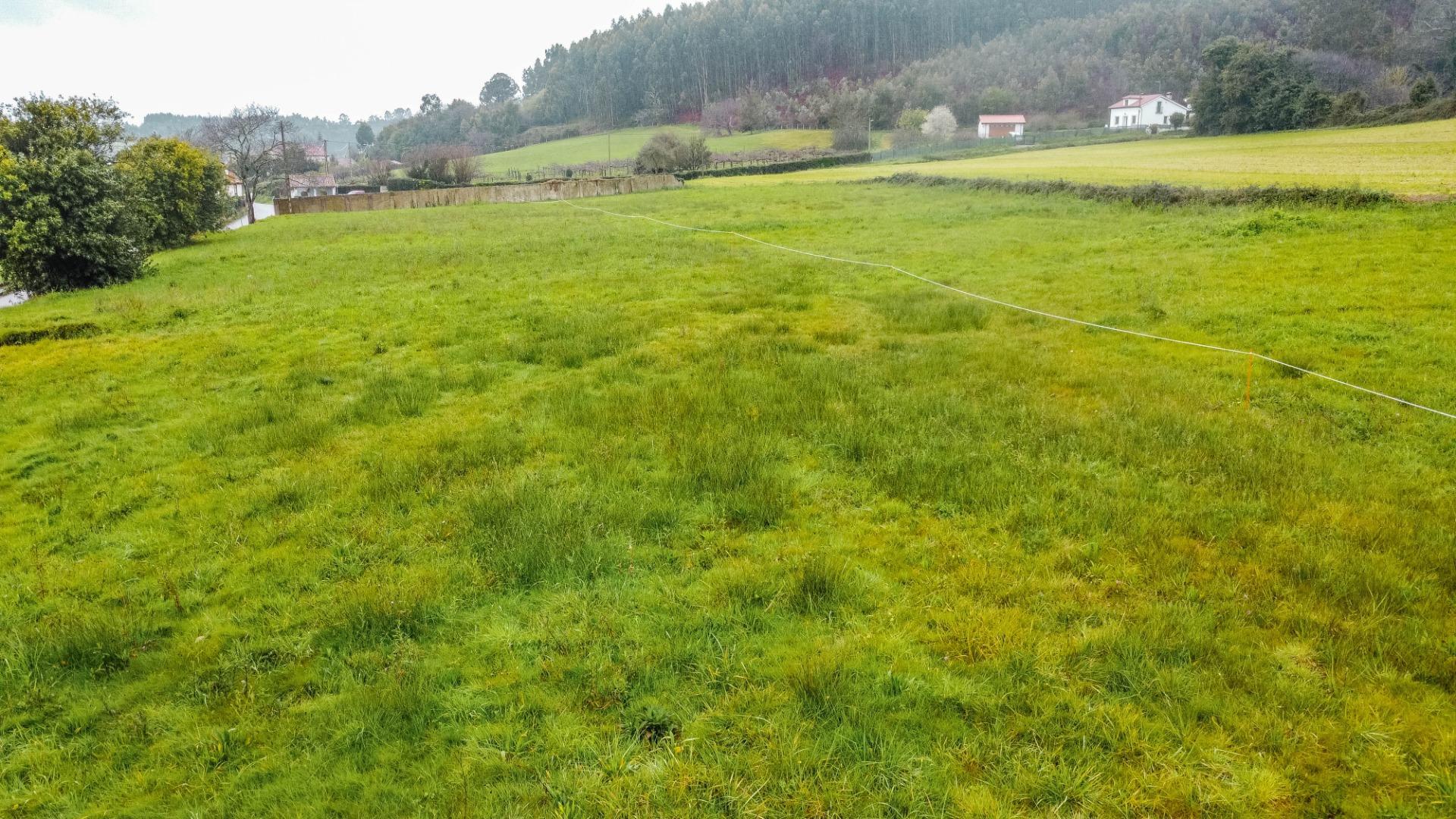 Fincas y solares-Venta-GozÃ³n-2150831-Foto-27