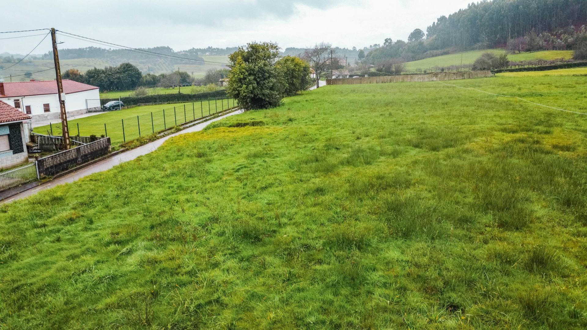 Fincas y solares-Venta-GozÃ³n-2150831-Foto-26