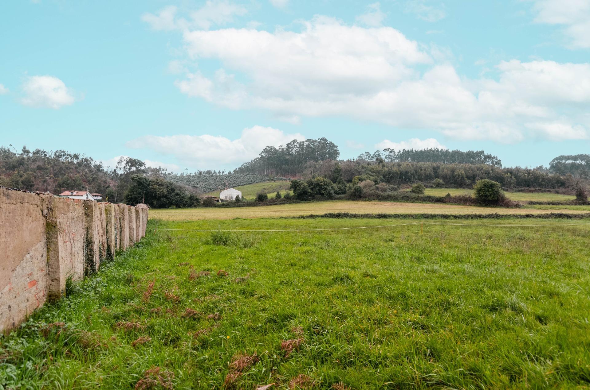 Fincas y solares-Venta-GozÃ³n-2150831-Foto-32