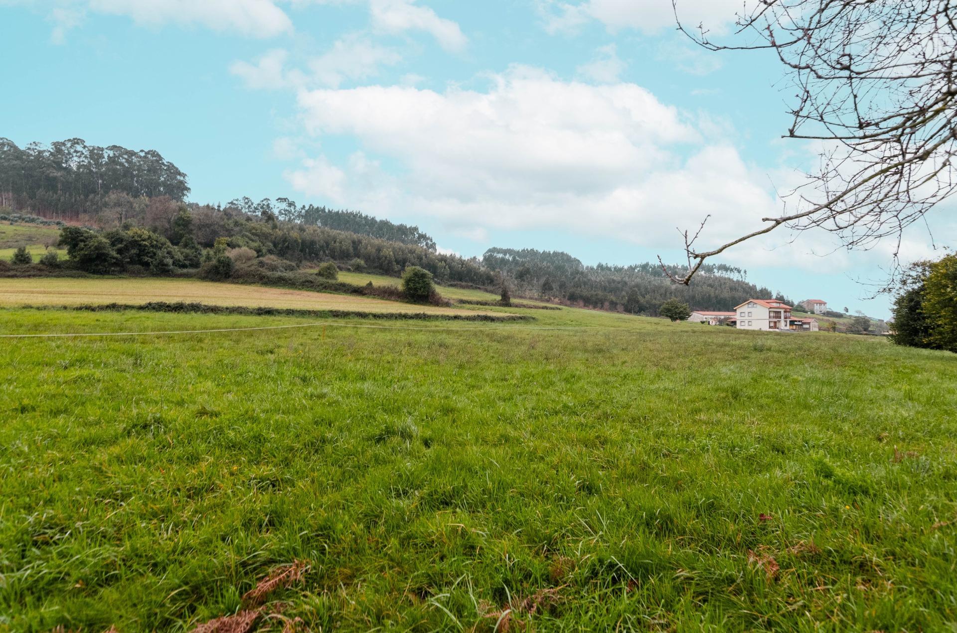 Fincas y solares-Venta-GozÃ³n-2150831-Foto-31