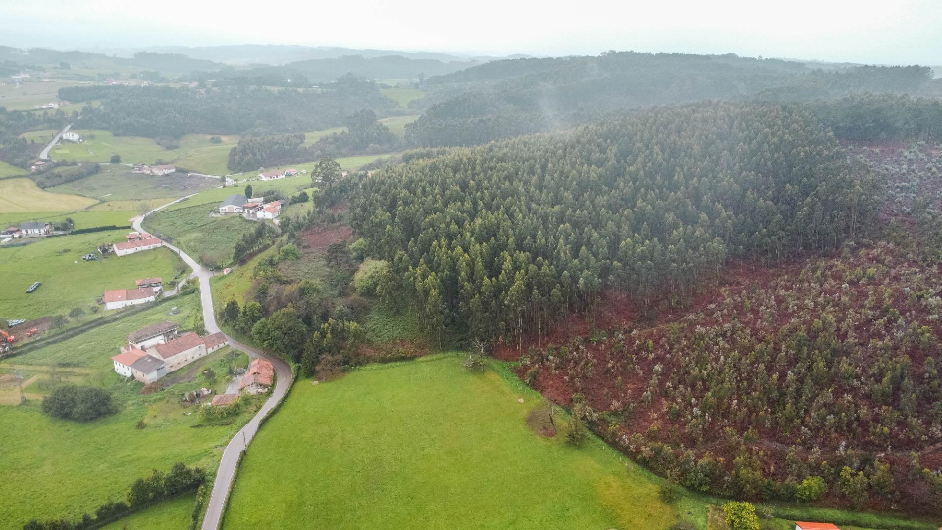 Fincas y solares-Venta-GozÃ³n-2150831-Foto-35