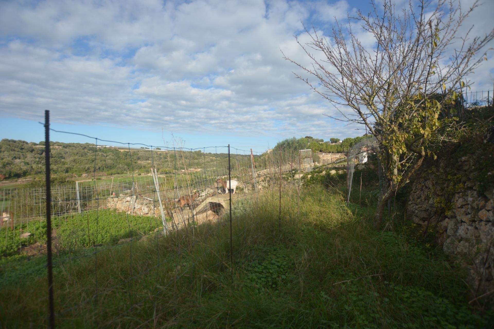 Fincas y solares-Venta-Es Migjorn Gran-2009897